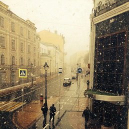 �����, ��������, 41 ���