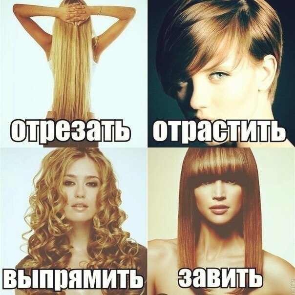 �������� �������