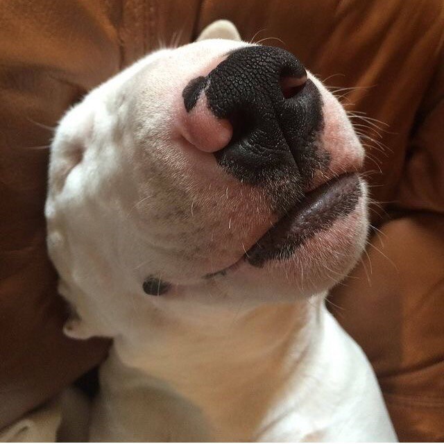  !   