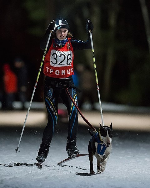 Уже не раз были посты о дрессуре и много крутейших видео, предлагаю опрос) делитесь отзывами и ...