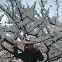 ���� ������ �������, ������� - ��������� 28 ������ 2018 � ������ ���� ����������