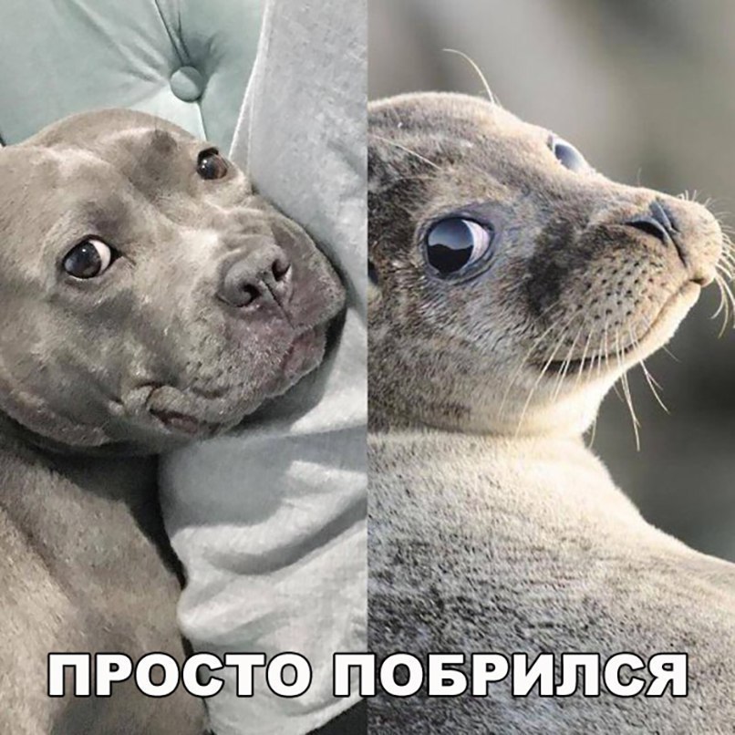  - 3  2018  05:33
