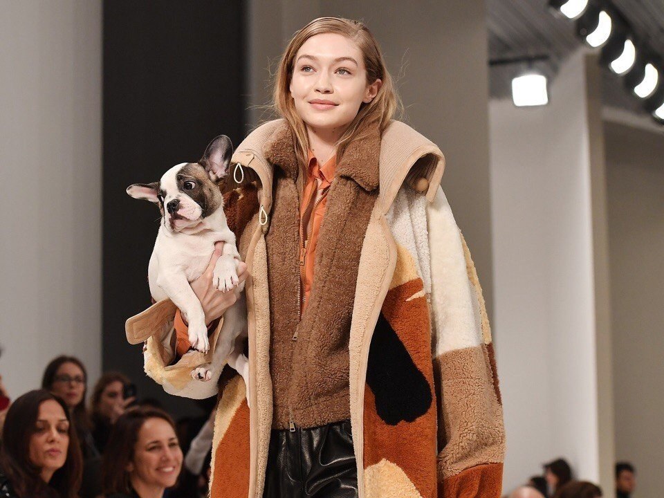  TodS Fall 2018,     . - 6