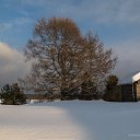 ���� ��������, ������������, 62 ���� - ��������� 5 ���� 2018 � ������ ������ ��������