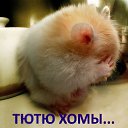 ���� ������, ������������ - ��������� 9 ������� 2018 � ������ ���� ����������