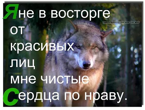 Пришлась по нраву. Я не в восторге от красивых лиц мне чистые сердца по нраву. Мне чистые сердца по нраву. Я не в восторге. Бог любит всех но не от всех в восторге.