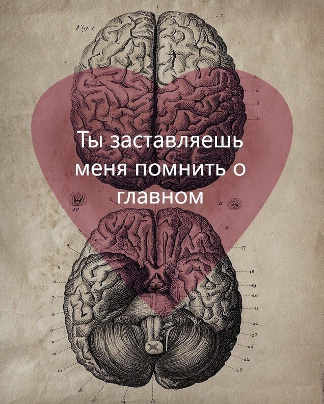 ,          . - 3