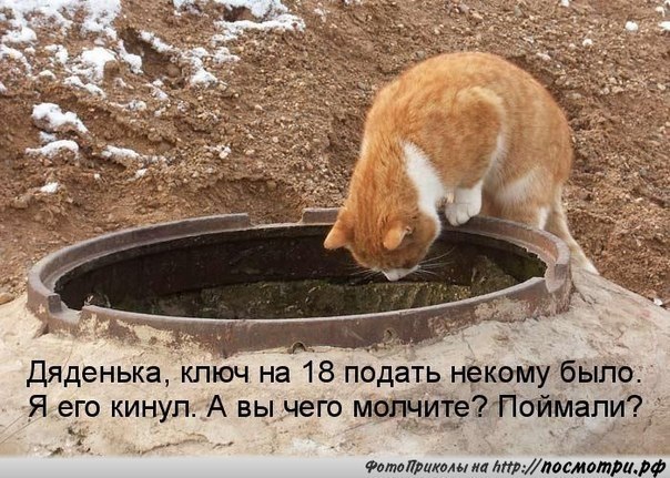    - 24  2018  02:58