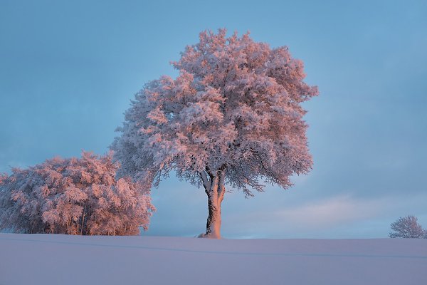    - 20  2018  03:55