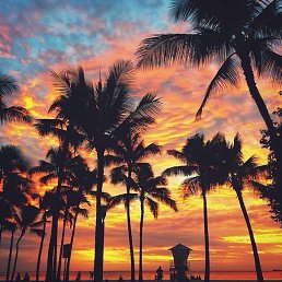 ���� Alexandr, �������, 28 ��� - ��������� 18 ���� 2018