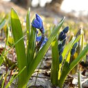 ���� ������, ������-��-����, 46 ��� - ��������� 13 ������ 2018 � ������ ������ ��������