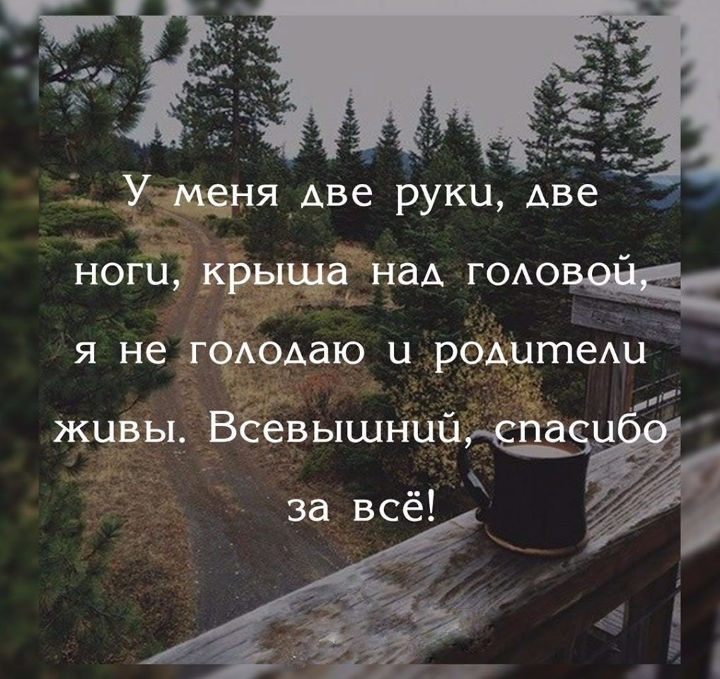    - 3  2018  03:58