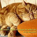 ���� �����, ���������, 64 ���� - ��������� 8 ������� 2018 � ������ ������ ��������