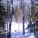 ���� �������, ������ - ��������� 4 ��� 2018 � ������ ���� ����