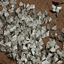 ���� �, ������, 85 ��� - ��������� 9 ������ 2018 � ������ ���� ����������