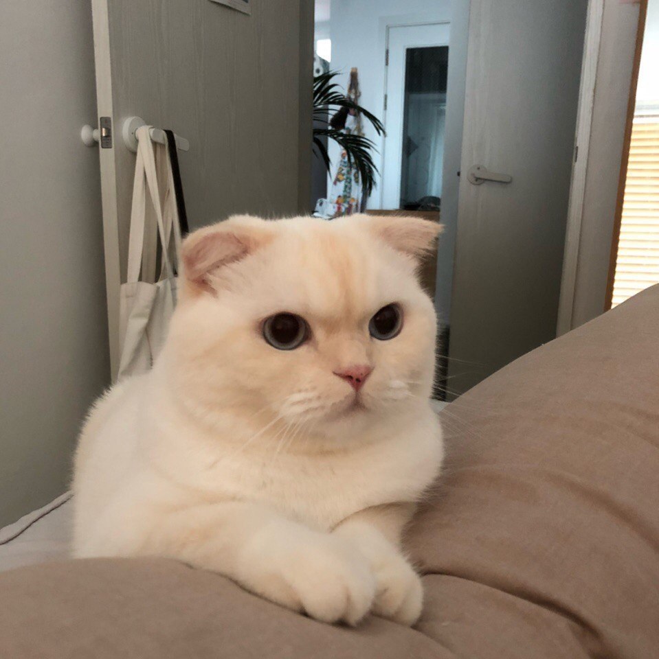   : - 4