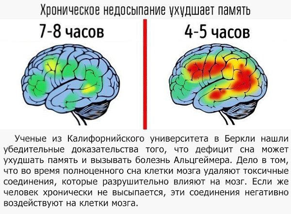 9 примеров того, как мы влияем на свой мозг
