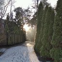 ���� ���� ����������, ����������� - ��������� 17 ������� 2017 � ������ ���� ����������