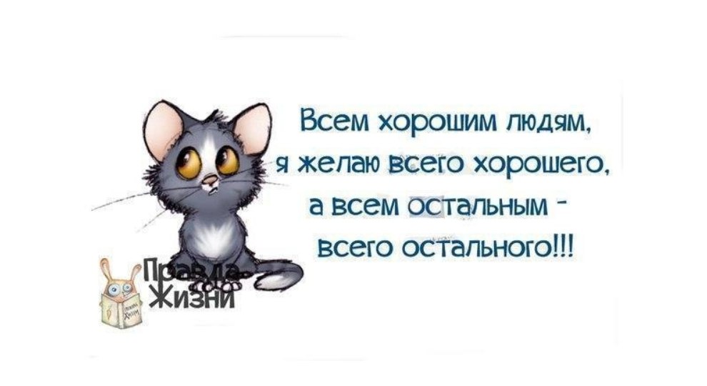 )))))  ,  !)))
