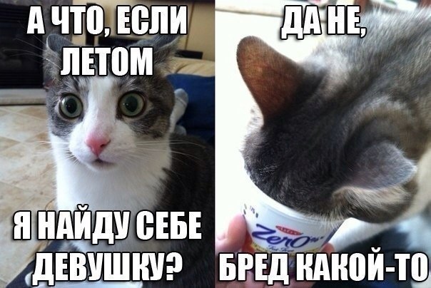    :D - 6  2018  02:52