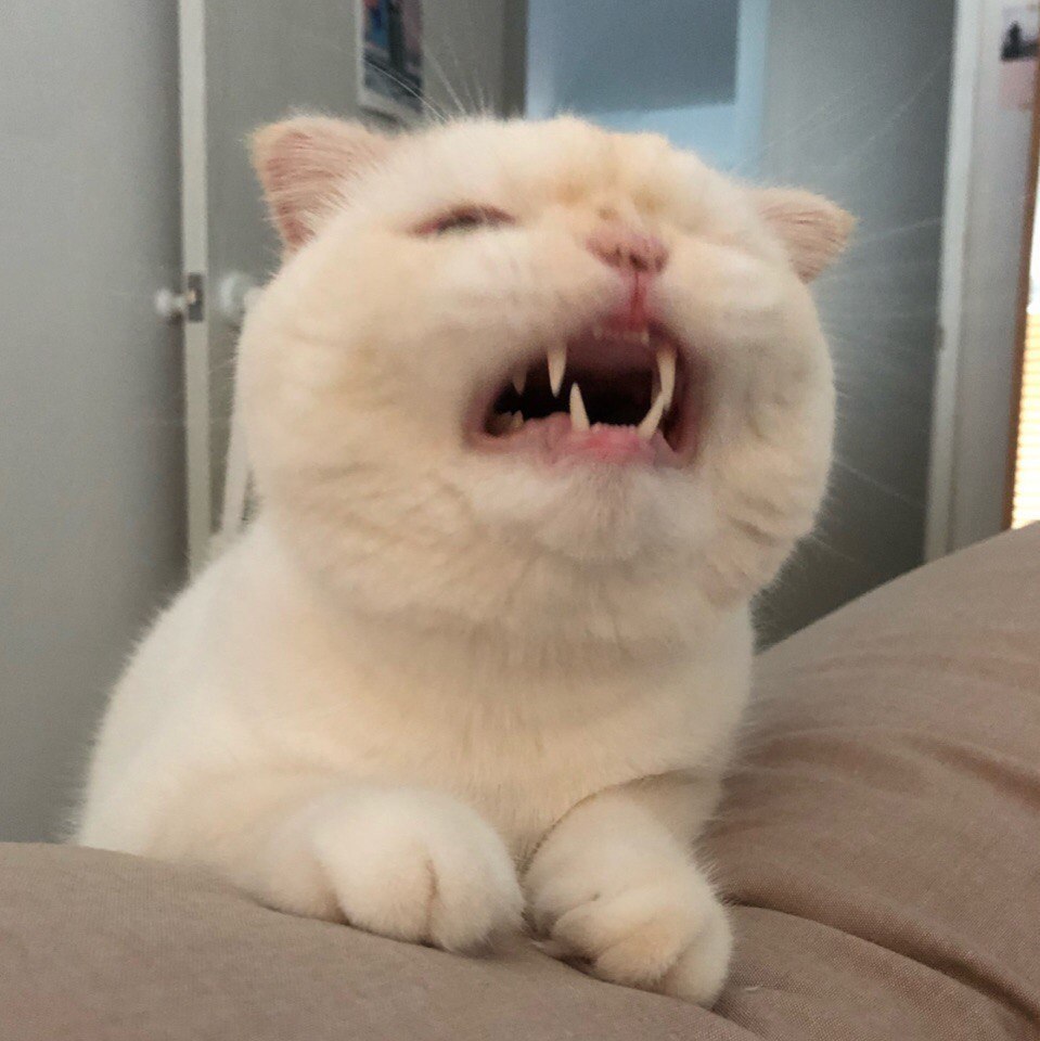   : - 3