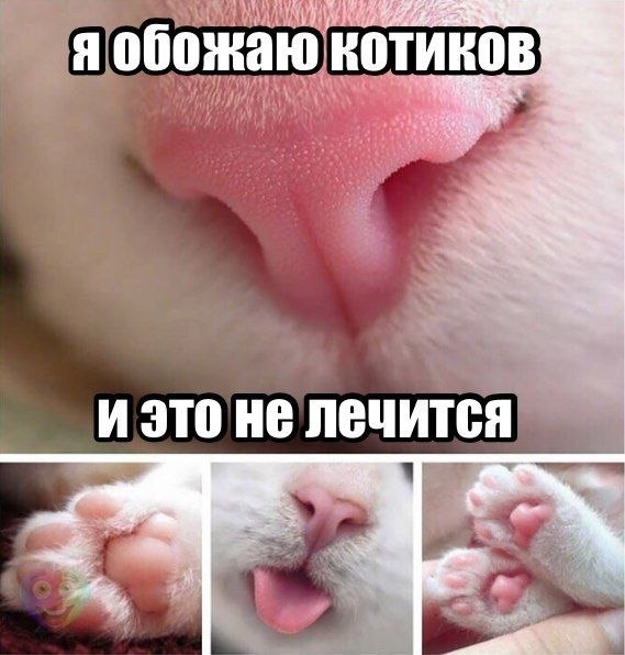   :D - 24  2018  03:41