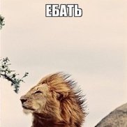 , 38 , 