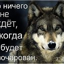 ���� ����, ���������� ����� - ��������� 5 ����� 2018 � ������ ������ ��������