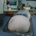 ���� ������ (Clean Shaven), ��������, 41 ��� - ��������� 18 ���� 2018 � ������ ������ ��������