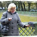 ���� ���, �����-���������, 54 ���� - ��������� 20 ������ 2018