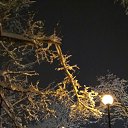 ���� �������, ������, 54 ���� - ��������� 7 ������� 2018 � ������ ������ ��������
