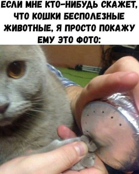    :D - 24  2017  03:57