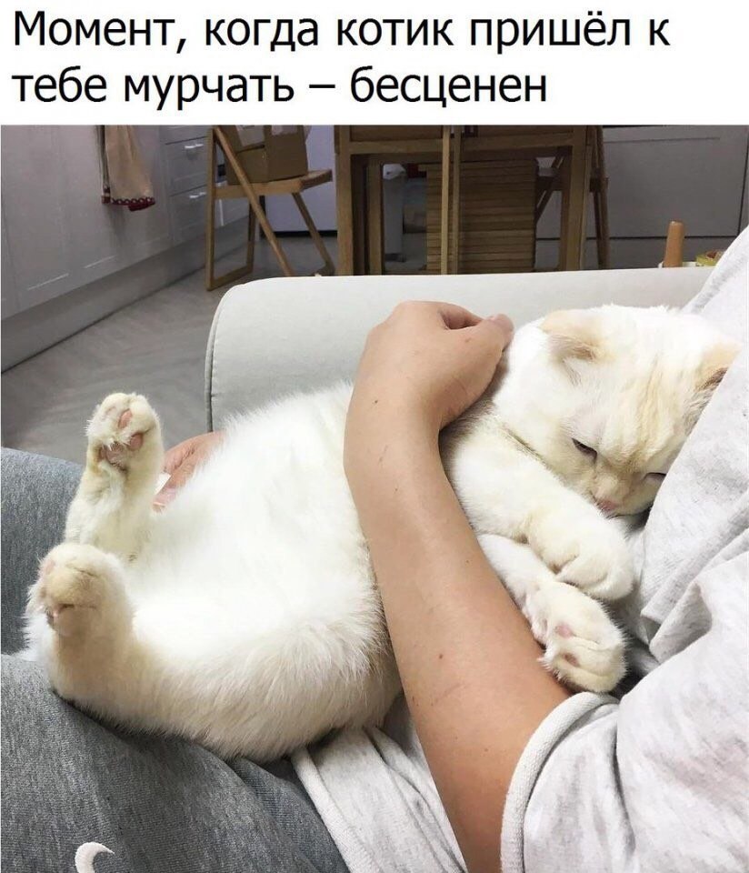    - 19  2018  02:58