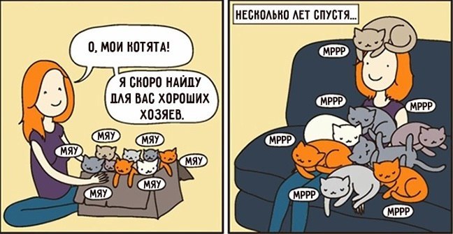  - 15  2018  02:43