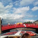 ���� ������, �����-���������, 49 ��� - ��������� 16 ���� 2018 � ������ ������ ��������