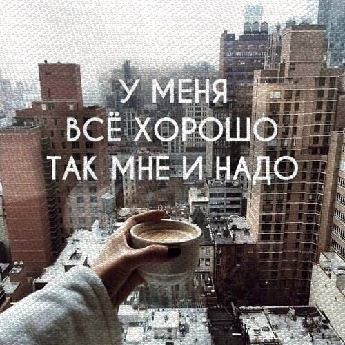    - 6  2018  08:13