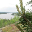 ���� Olga, ������������ - ��������� 19 ����� 2018 � ������ ���� ����������