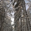 ���� �, ������ - ��������� 9 ��� 2018 � ������ ���� ����������