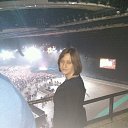 ���� ������, ������, 41 ��� - ��������� 13 ������ 2018 � ������ ���� ����������