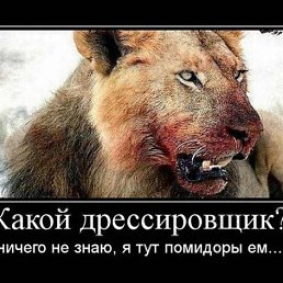 ���� ��������, �������, 89 ��� - ��������� 27 ������� 2018