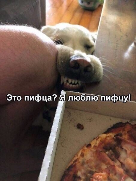    :D - 10  2018  03:40