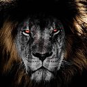 ���� ������, �����������, 42 ���� - ��������� 7 ������ 2018 � ������ ������ ��������