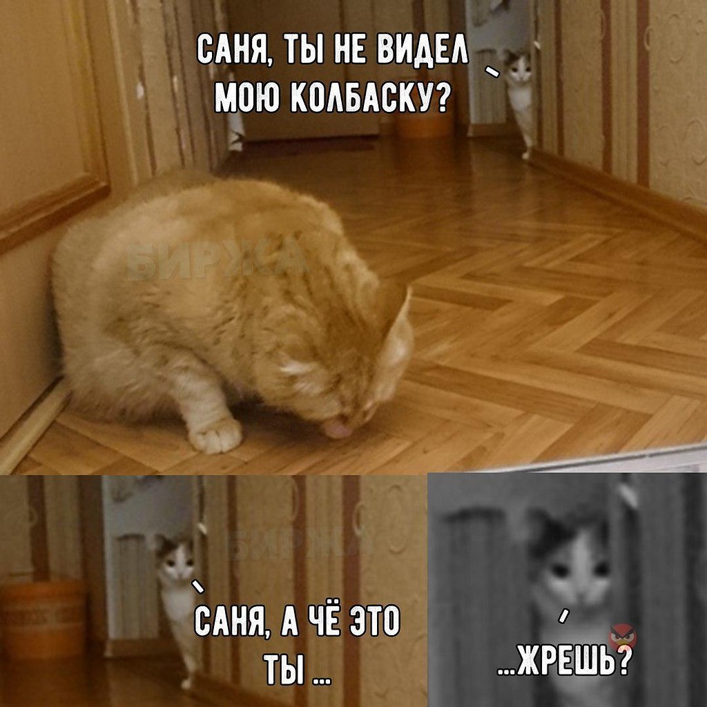   - 27  2018  02:41