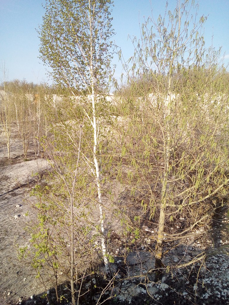 ���� ������� - 1 ��� 2018 � 10:53 - 8