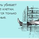 ���� Vic- Tor, �����, 64 ���� - ��������� 14 ����� 2018 � ������ ��������