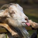 ���� A, ���� - ��������� 21 ������ 2018 � ������ ���� ����������