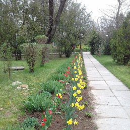 ���� �����, �������, 63 ���� - ��������� 23 ���� 2018