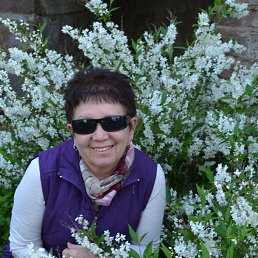 Razilya, ������