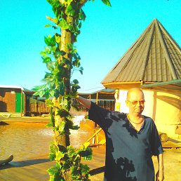 ��������, �����������, 49 ���