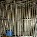 ���� ���������, ��������� - ��������� 9 ���� 2018 � ������ ������ ��������